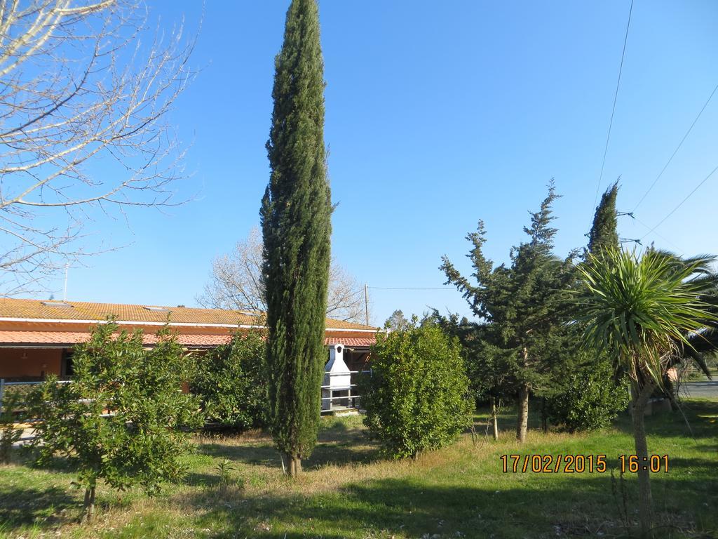 Villa Agriturismo Il Cipresso Vada Exterior foto