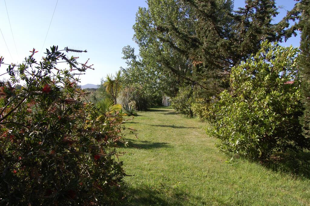 Agriturismo Il Cipresso Vada Exterior foto